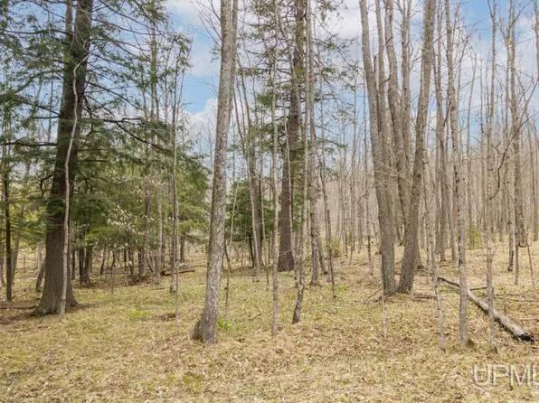 Hupp Rd, Vulcan, MI 49892