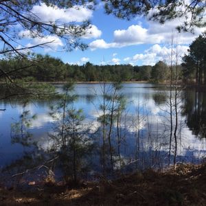 963 McDougald Circle, Cheraw, SC, 29520