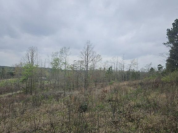 3rd image of 548 Private Road 4615