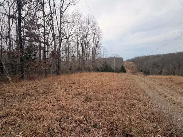 4 Blue Bird Ct, Nunnelly, TN 37137