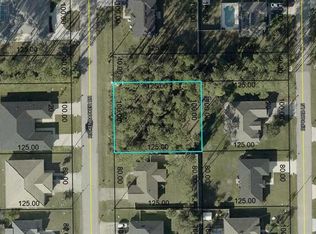 97 RICKENBACKER DRIVE LOT 1, PALM COAST, FL 32164