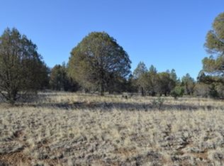 5 Brushy Mountain Rd, Mule Creek, NM 88051
