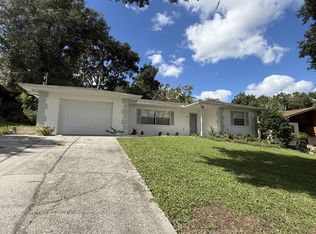 423 N Rossiter St, Mount Dora, FL 32757