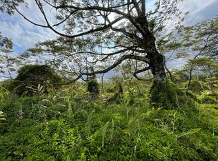 36th Ave LOT 28, Kurtistown, HI 96760