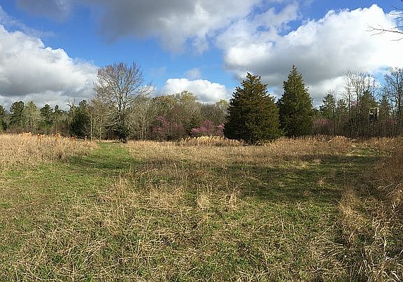 back field.  good hunting.
