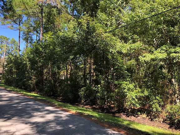 2nd image of 0 E Mandarin Meadows Dr