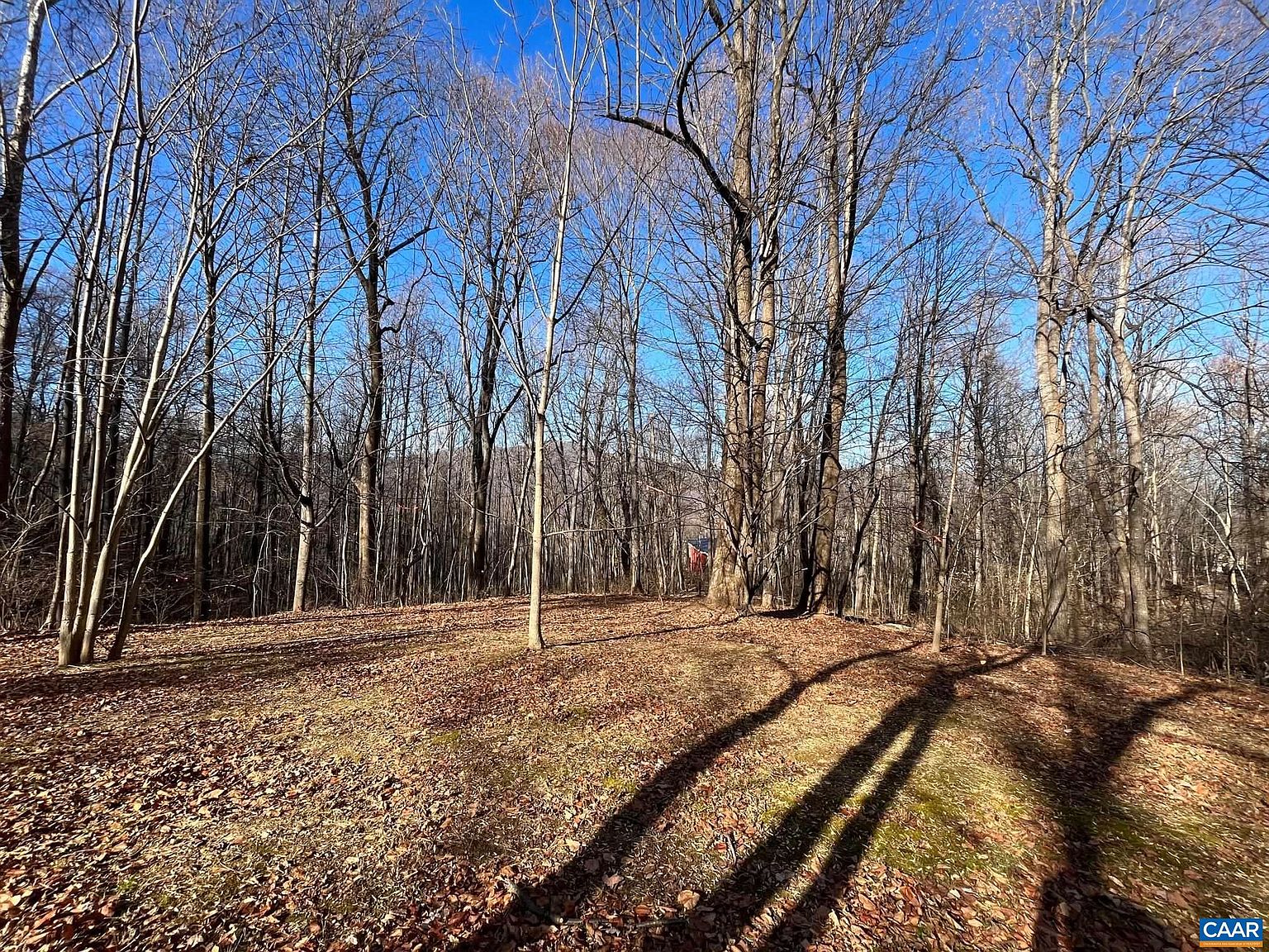 38 Dogwood Ln, Nellysford, VA 22958 MLS 648014 Zillow