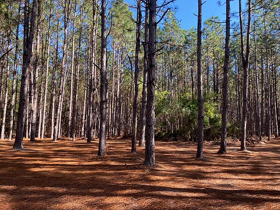 4th image of Bear Bay Flats Rd