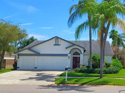 11326 Bloomington Dr, Tampa, FL, 33635