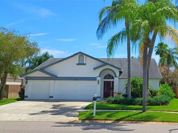 11326 Bloomington Dr, Tampa, FL 33635