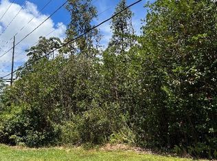 33rd Avenue Uluhe LOT 28A, Keaau, HI 96749