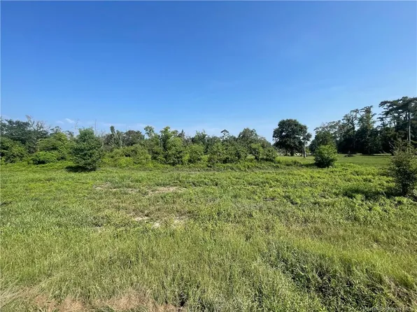 45 Old Ferry Rd, Kinder, LA 70648