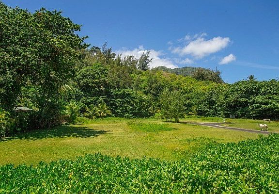 2nd image of Kuhio Highway Wainiha