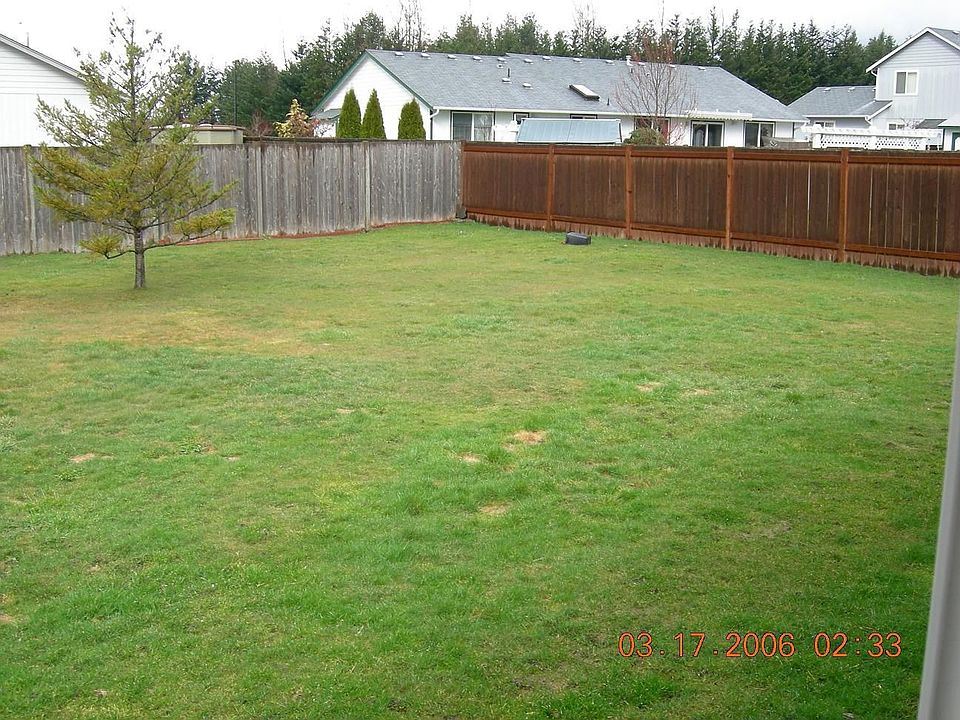 Backyard, left side