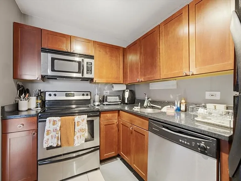 655 W Irving Park Rd #412 — Photo 6