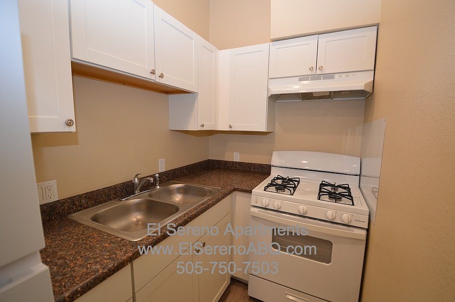 Renovated Kitchen