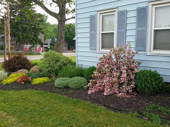 Portion of front landscaping