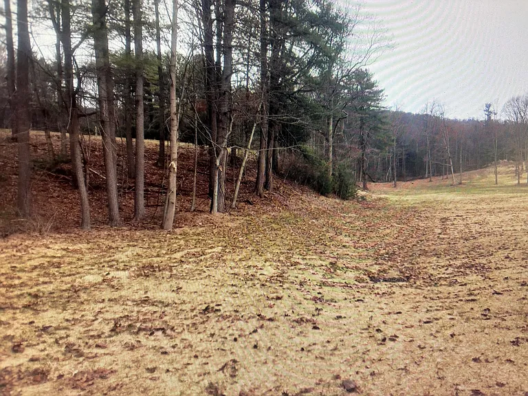 Kutz Farm Dr — Photo 24