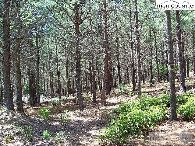 2nd image of 1552 Bear Cliff Drive Lake