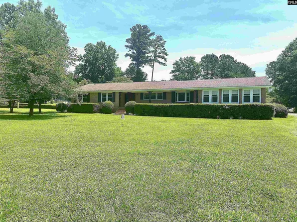 535 Sandbar Rd, Chapin, SC 29036