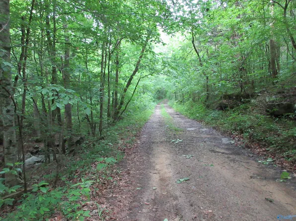 1976 County Road 401, Trenton, AL 35774