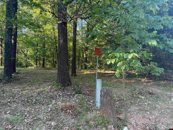 276 Mc #6034, Yellville, AR 72687