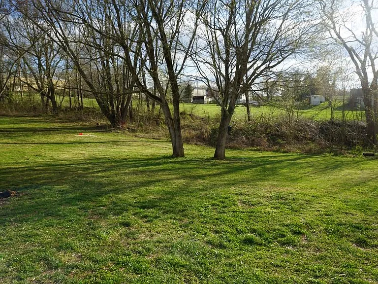 Side yard