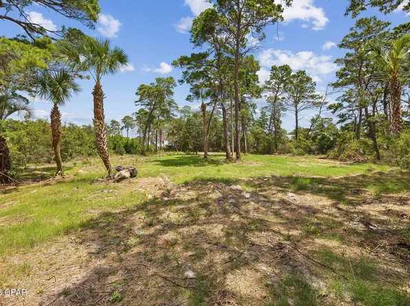 291 E Pinewood Ln, Inlet Beach, FL 32461