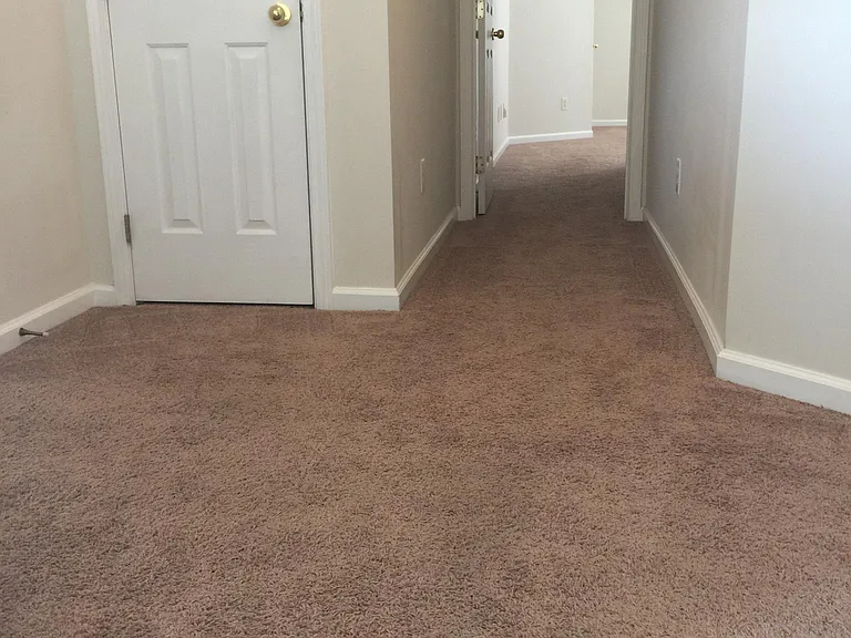 11813 Royal Castle Ct — Photo 11