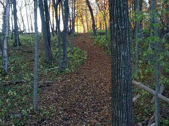 path to deer stand