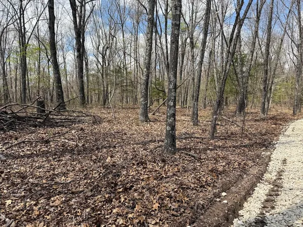 Tract III Lot C Jettsen Drive, Rogersville, MO 65742