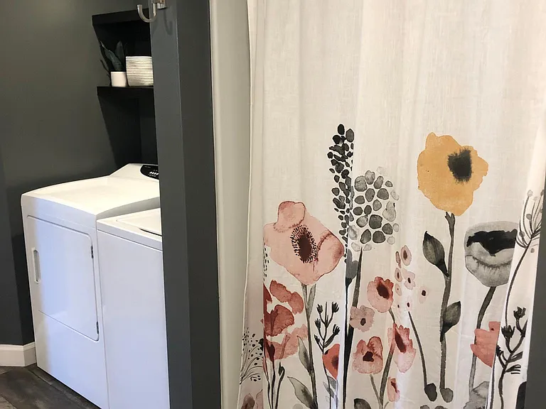 Shower and Laundry