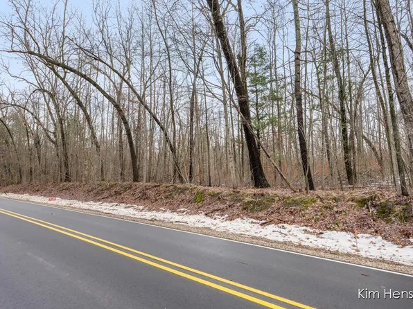 V/l W Wood Lake Rd, Pierson, MI 49339