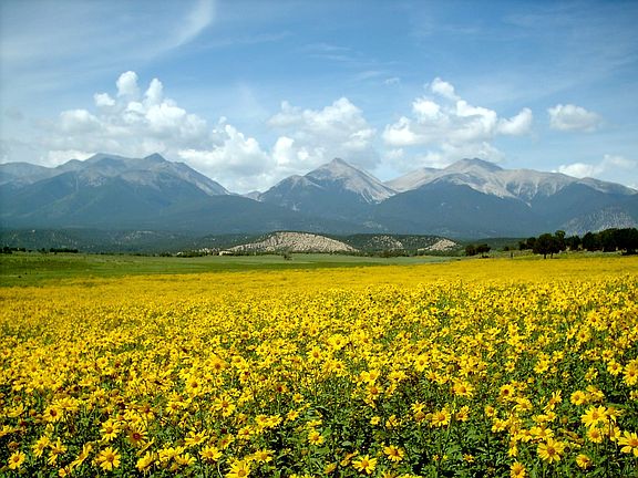 4th image of 18010 Us Highway 285
