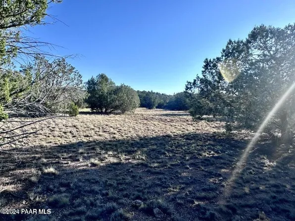 545B N Caliente Wind Way, Seligman, AZ 86337