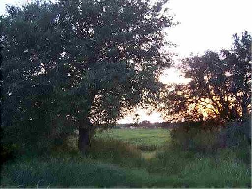1st image of TRACT 7 CR 472