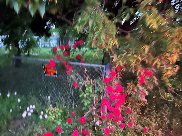 803 SE 7th Ave, Mineral Wells, TX 76067