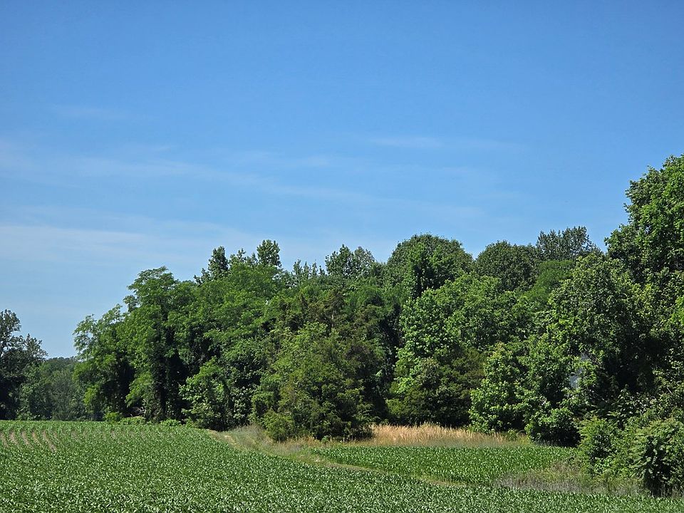 2nd image of 710 Pea Ridge Ln