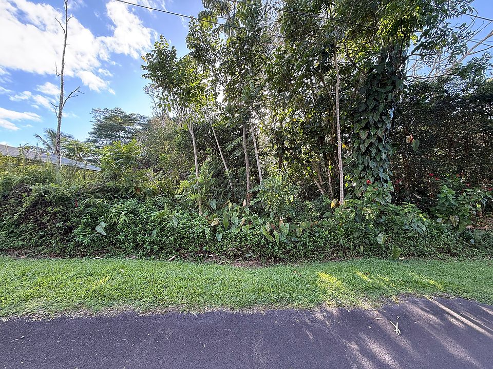 1st image of Anthurium Dr Lot 54