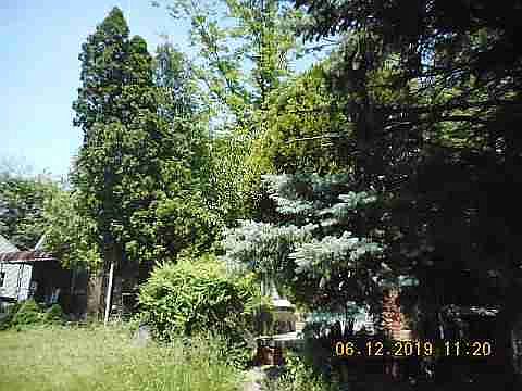 11807 Elmdale