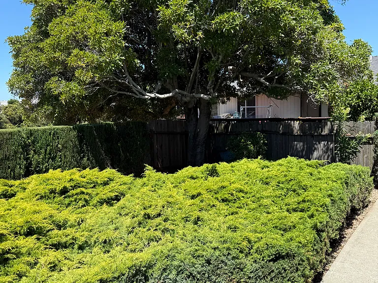 2735 McMorrow Rd — Photo 12