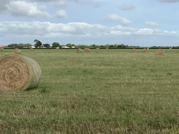 0 Padon Rd, Needville, TX 77461