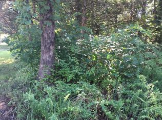 373 Bluebird Ln, Shell Knob, MO 65747