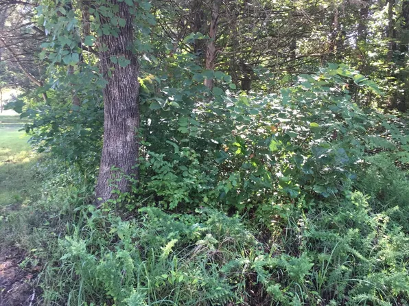 373 Bluebird Lane, Shell Knob, MO 65747