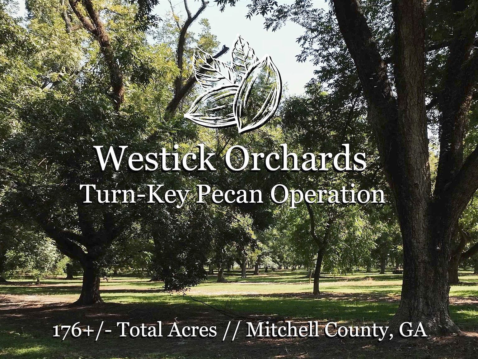 8710 Old Bainbridge Rd, Baconton, GA 31716 MLS 20162834 Zillow