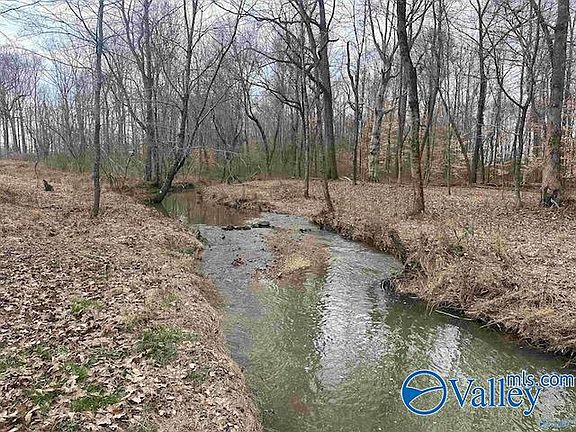 2nd image of 169 Brooks Church Rd