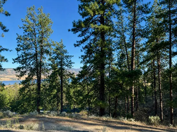 510 Hunt Ln, Davenport, WA 99122