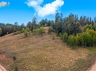 853 Valley Rd, Divide, CO 80814