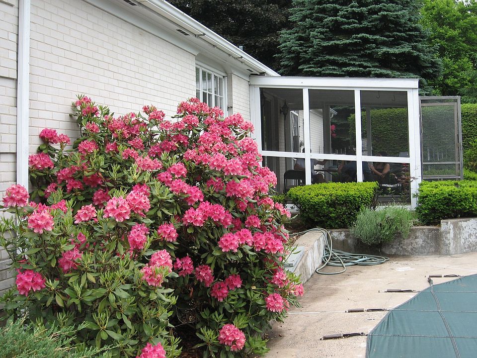 2nd image of 45 Edgemark Acres