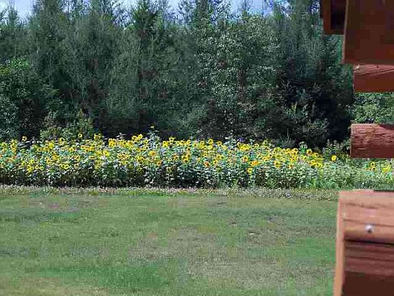 4th image of 1060 Fence River